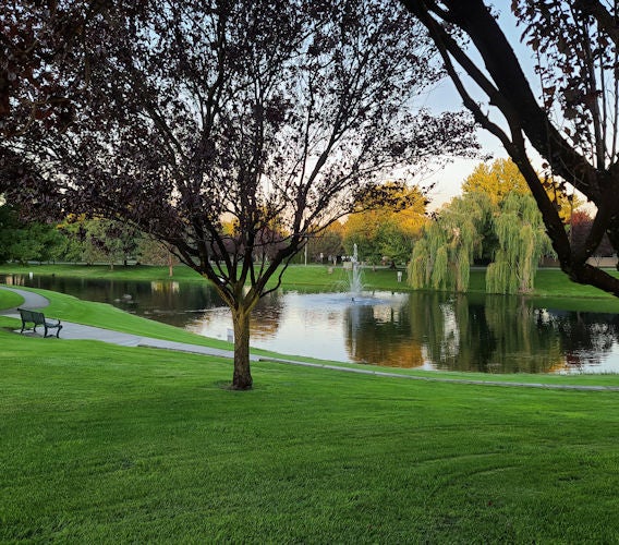 Horn Rapids Richland WA Homes for Sale and Real Estate